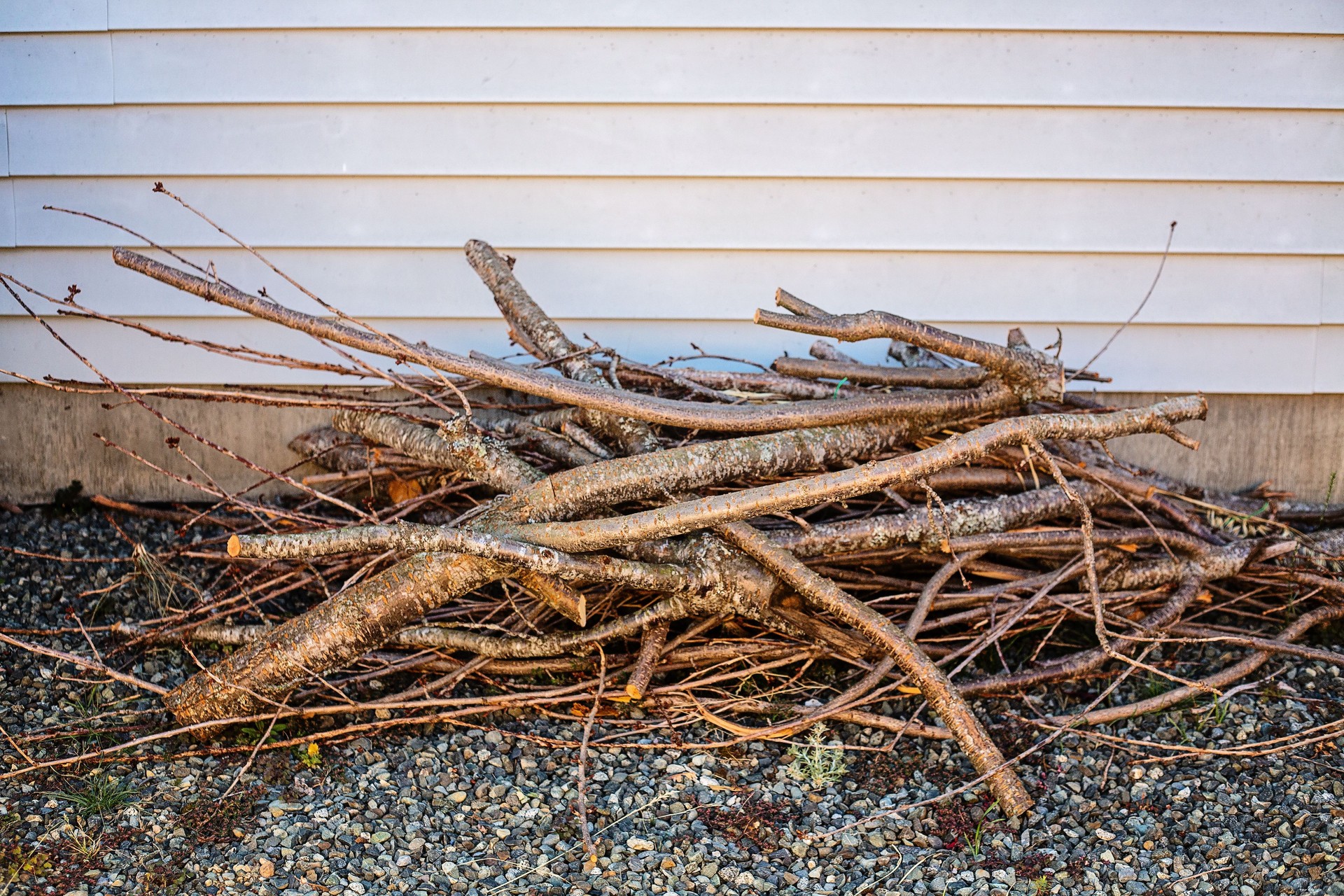 Woodpile